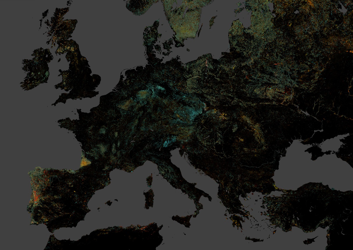 ForestFireAI